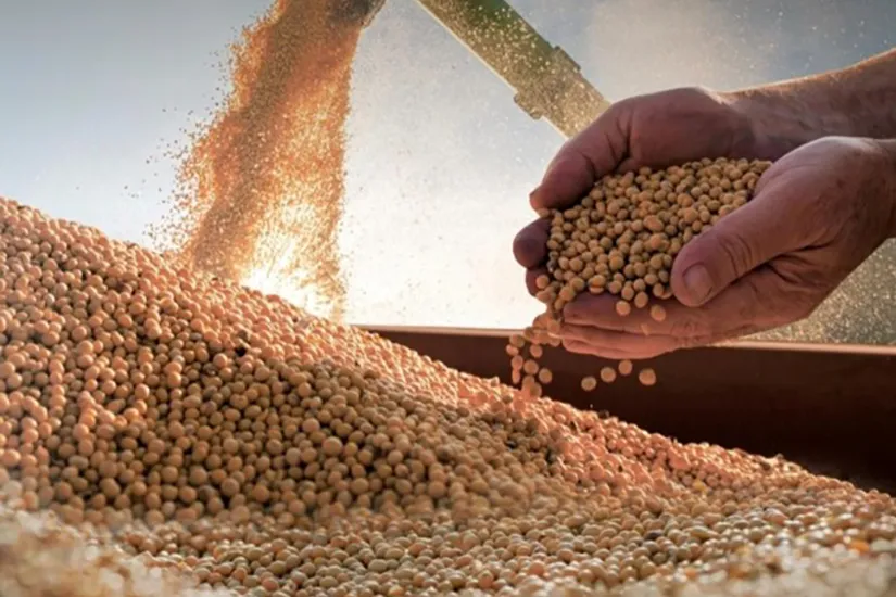 La industria semillera enfrenta importantes desafíos de cara a la próxima campaña de soja